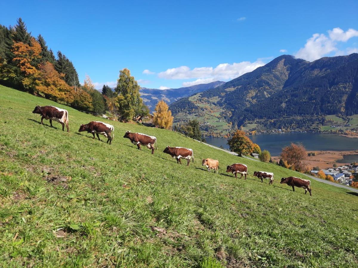 Bio-bergbauernhof Hubgut Bauernhof