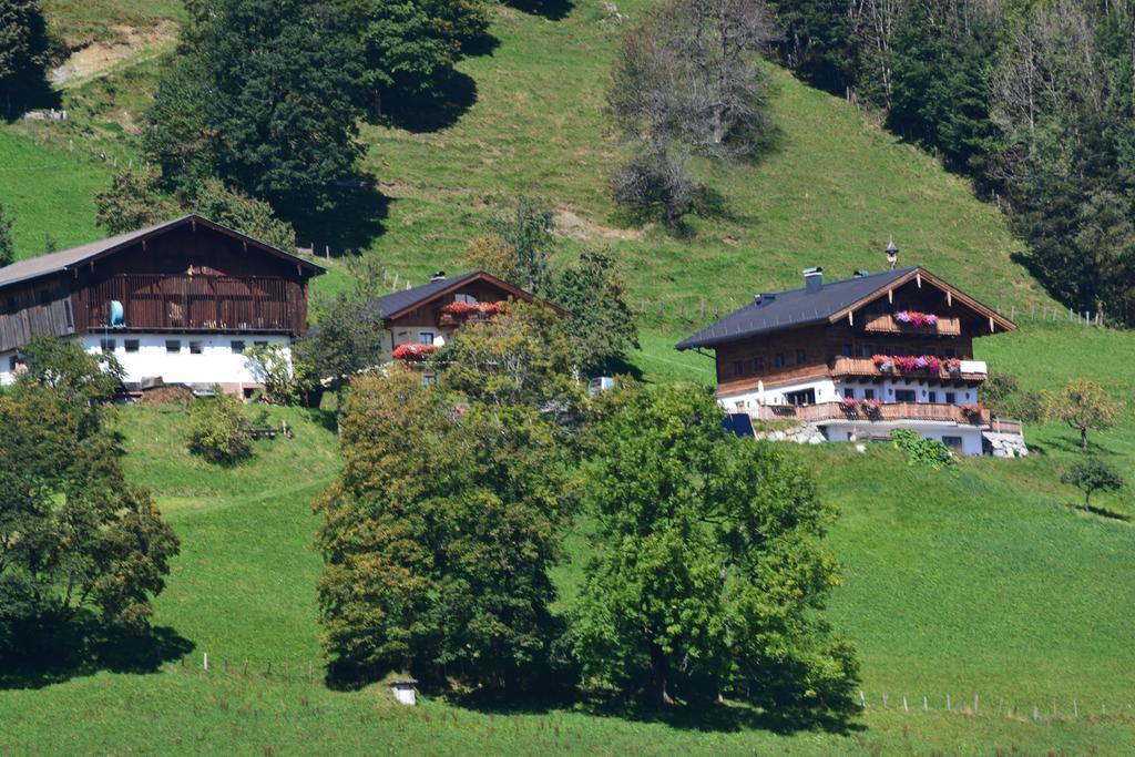 Bio-bergbauernhof Hubgut Bauernhof *