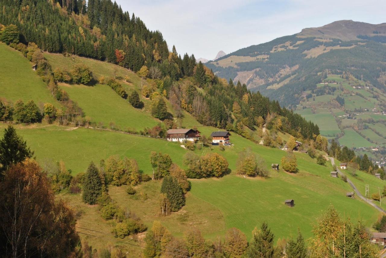 Bio-bergbauernhof Hubgut Bauernhof Zell am See